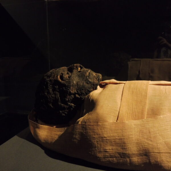 Luksor 119 1 600x600