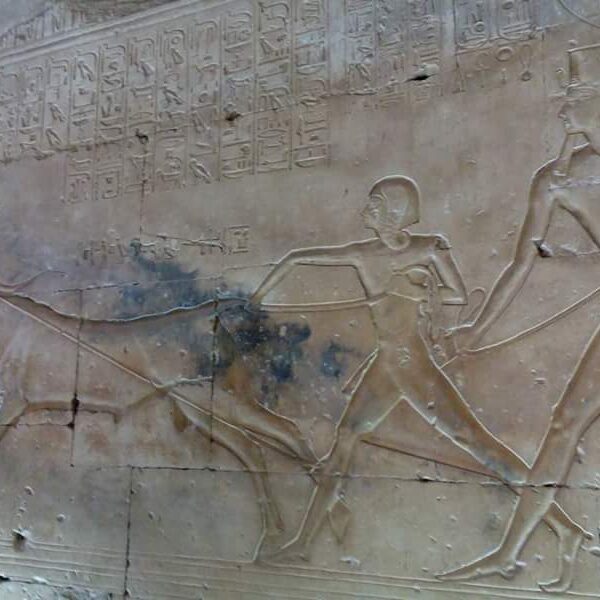 Dendera i Abydos