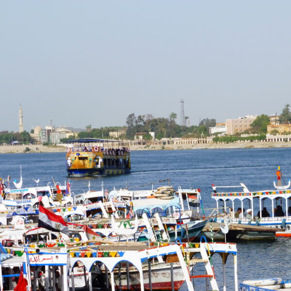 Luksor Indywidualne 14 600x600