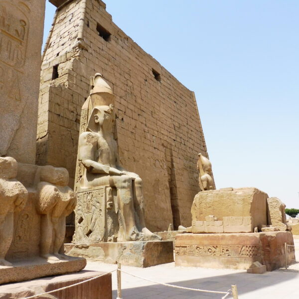 Luksor Indywidualne 15