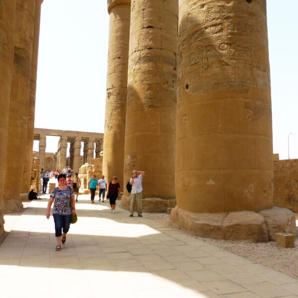 Luksor Indywidualne 16 600x600