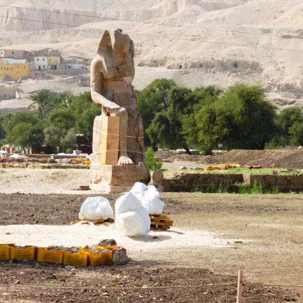 Luksor Indywidualne 19