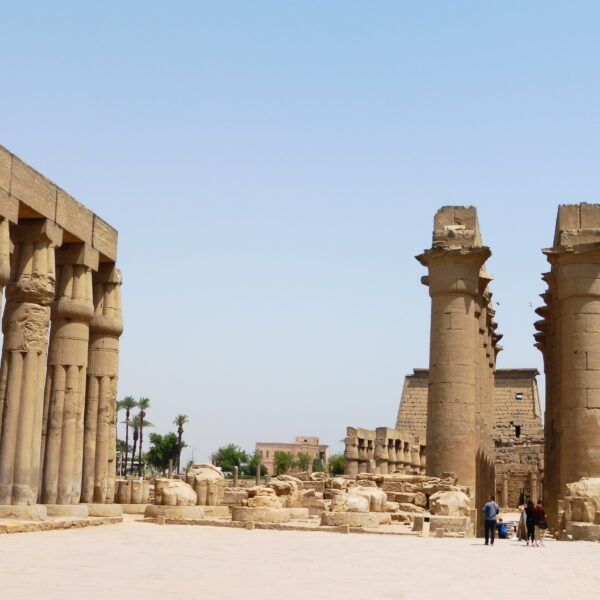 Luksor Indywidualne 22