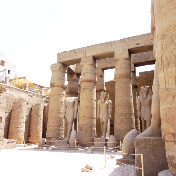 Luksor Indywidualne 23 600x600