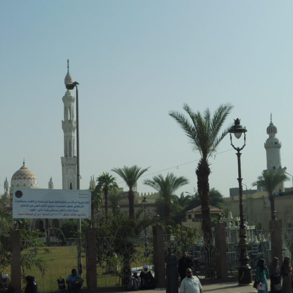 Luksor Indywidualne 26 600x600