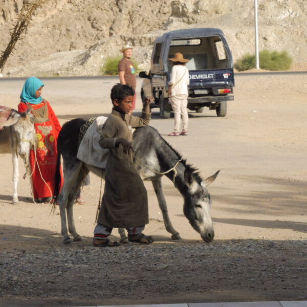 Luksor Indywidualne 28 600x600