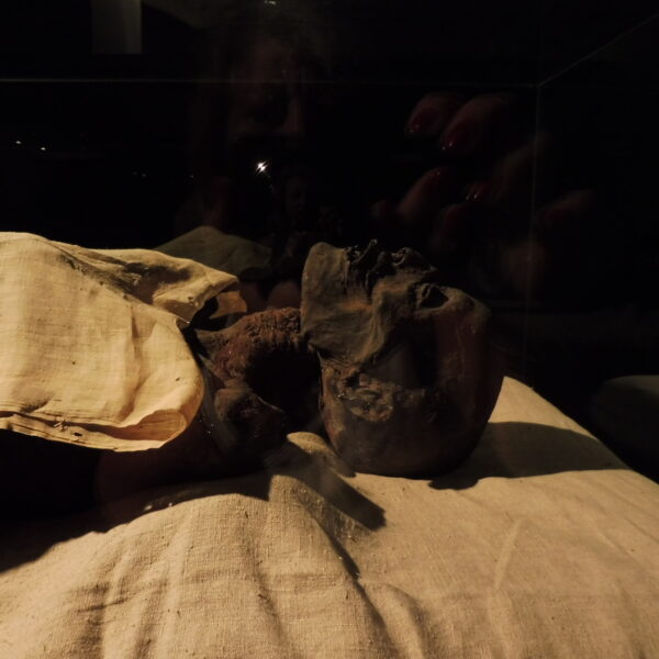 Luksor Indywidualne 3