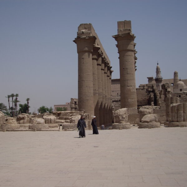 Luksor Indywidualne 31 600x600