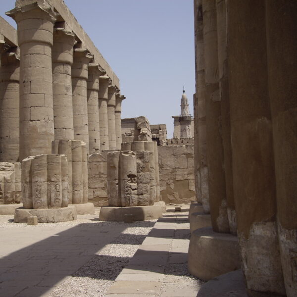 Luksor Indywidualne 33