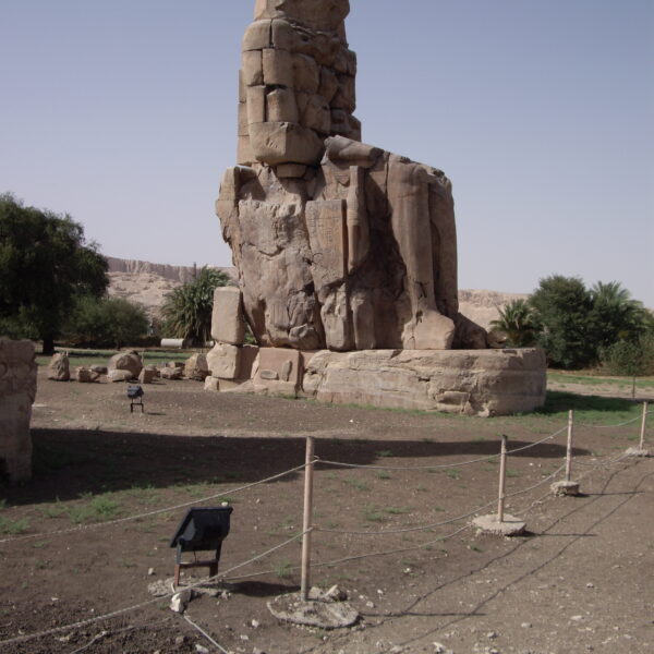 Luksor Indywidualne 36 600x600