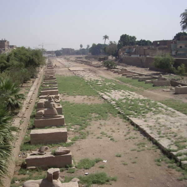 Luksor Indywidualne 5 600x600