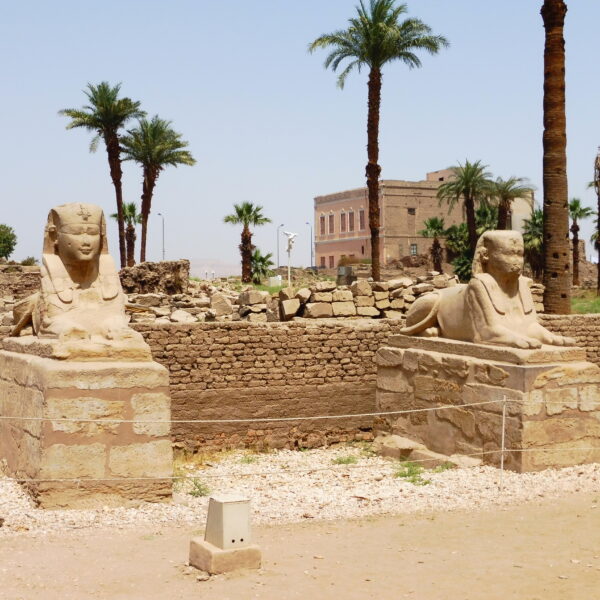 Luksor Indywidualne 9