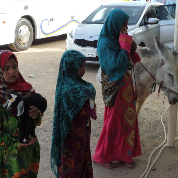 Rejs po Nilu 6 600x600