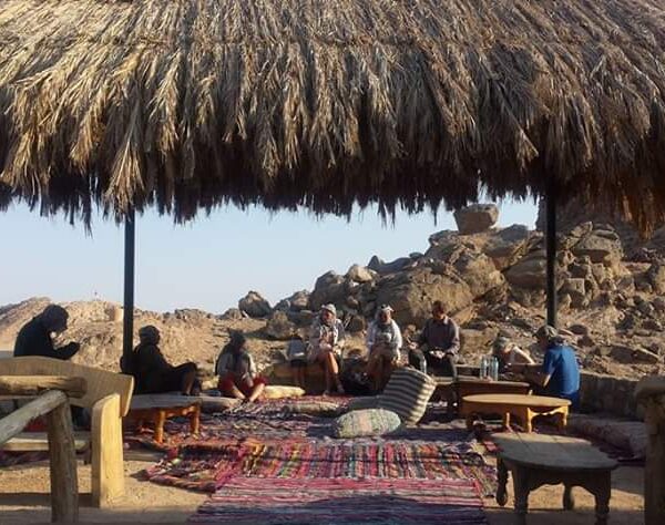 Super safari 5 600x474