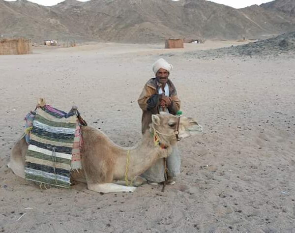 Super safari 7 600x474