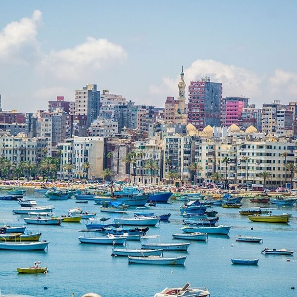 Aleksandria 2 600x600