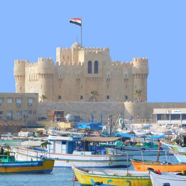 Aleksandria 5 600x600