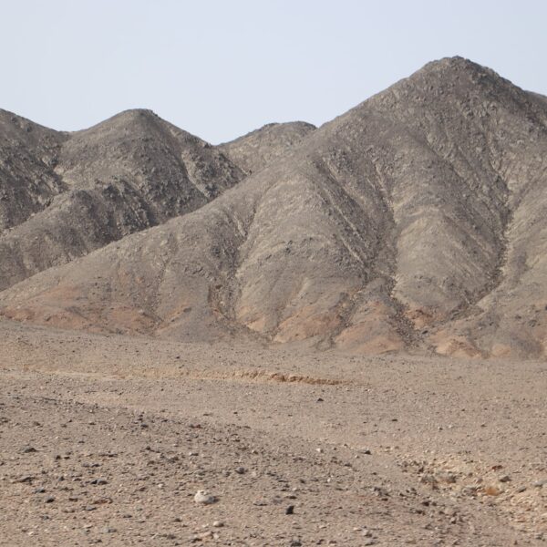 Dolina Wielbłądów