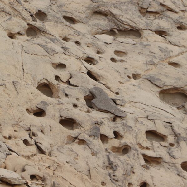 Dolina Wielbladow 14 600x600