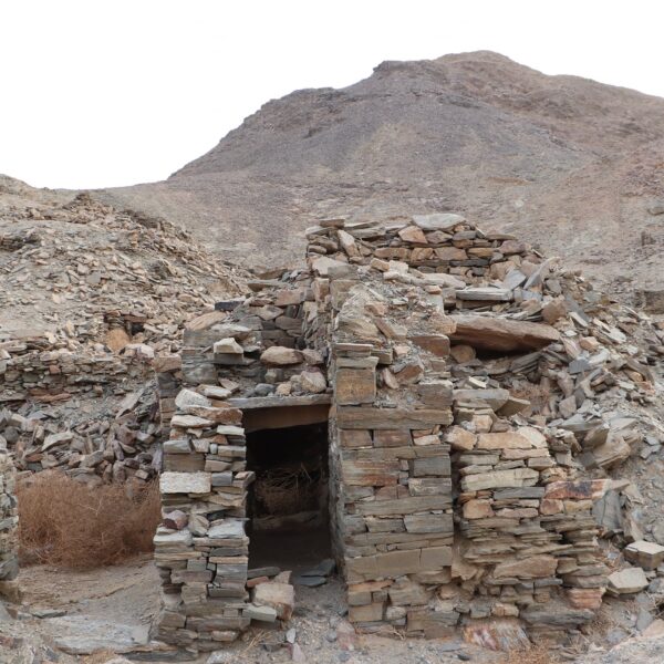 Dolina Wielbladow 20 600x600