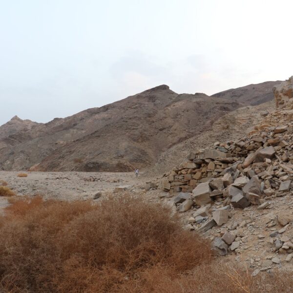 Dolina Wielbłądów