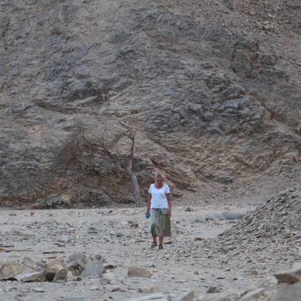 Dolina Wielbladow 24 600x600