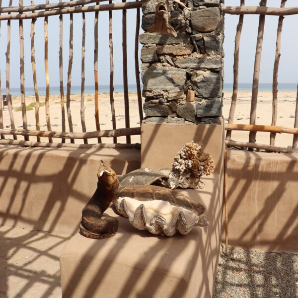 Dolina Wielbłądów