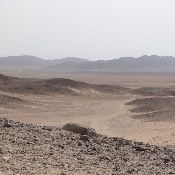 Dolina Wielbladow 4 600x600