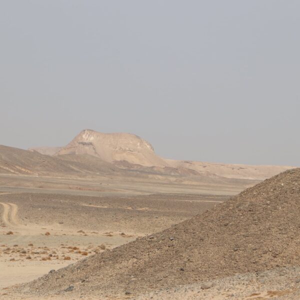 Dolina Wielbłądów