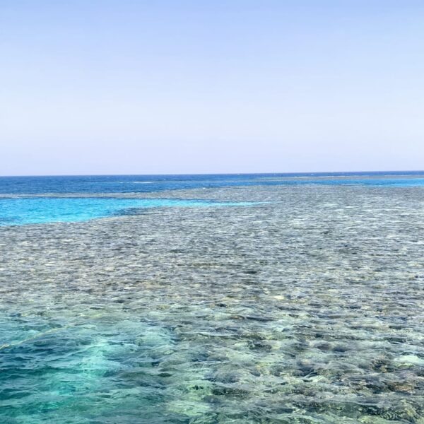 Nurkowanie 1 1 600x600