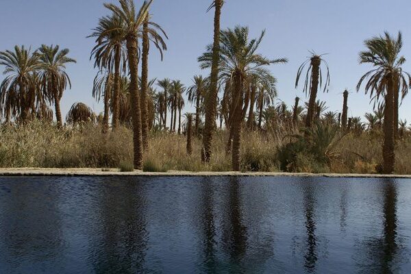 Oaza Siwa