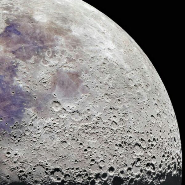 IMG 20250215 WA0012(1)