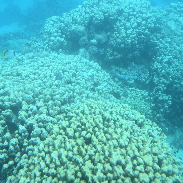 Łódź pół podwodna 4