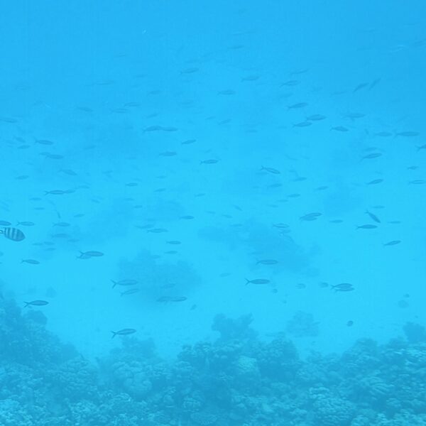 Łódź pół podwodna 5